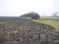 Pola uprawne i zarośla na tle mglistego krajobrazu. Zastanawiasz się, ile kosztuje hektar ziemi?